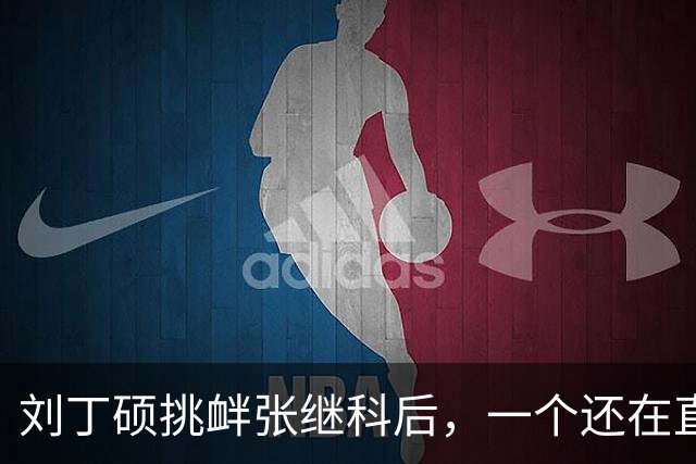 刘丁硕挑衅张继科后，一个还在直播，一个已受官方邀请出席比赛