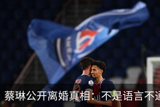 蔡琳公开离婚真相：不是语言不通，喜欢中国生活，自己开车去生娃
